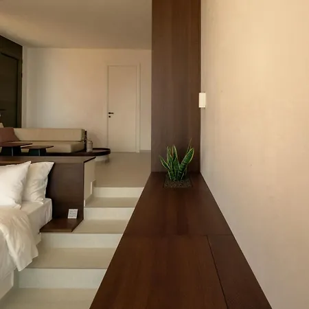 Olen Syros Otel *